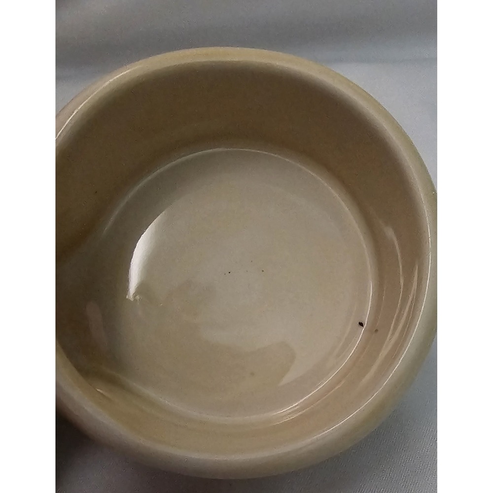 Pier 1 Imports Discontinued Salt & Pepper Shaker Set Carynthum Earthenware - Picture 14 of 15